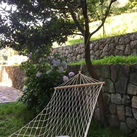 Gli Amici Di Carla Maison d'hôtes