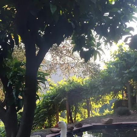 Maison d'hôtes Gli Amici Di Carla *