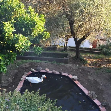 Gli Amici Di Carla Maison d'hôtes La Spezia