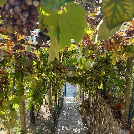 Maison d'hôtes Gli Amici Di Carla La Spezia