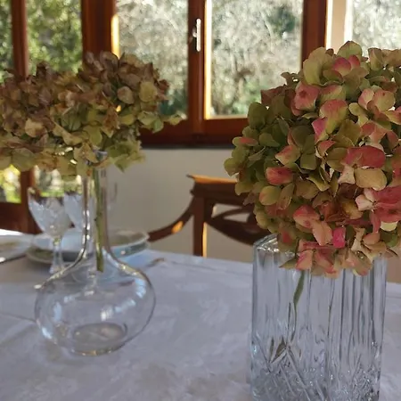 Maison d'hôtes Gli Amici Di Carla *