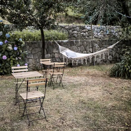 Gli Amici Di Carla